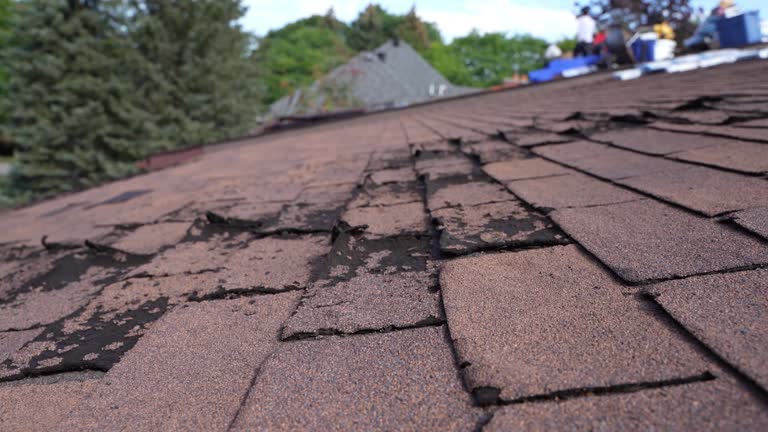 Best Rubber Roofing (EPDM, TPO)  in Mirrormont, WA