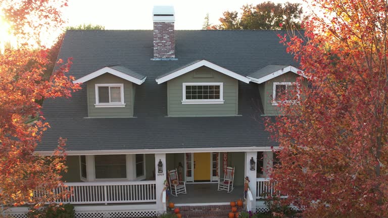Best Roof Maintenance and Cleaning  in Mirrormont, WA